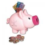 Pink Piggy Bank, Novelties Deluxe, Corporate Gifts